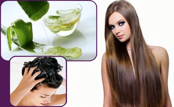 Tips to Get Dandruff – Free and Silky Hairs – EzHome Blog Tips to Get Dandruff – Free and Silky Hairs – EzHome Blog