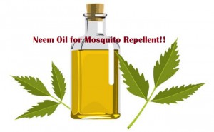 neem-oil-for-mosquito-repellent