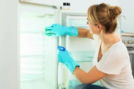 refrigerator cleaning service