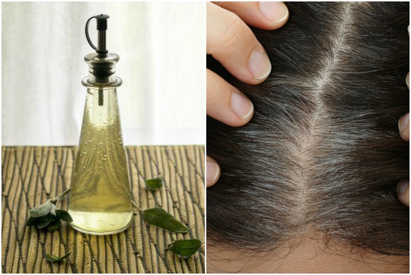 Tips To Get Dandruff Free And Silky Hairs Ezhome Blog
