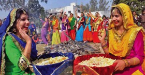 lohri celebration