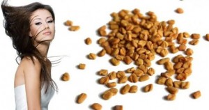 Fenugreek seeds for remove to hair dandruff