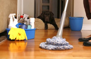 Deep Cleaning service