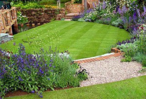 backyard green lawn