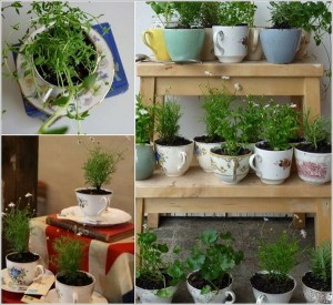 Herb garden