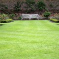 Tips, to Perfect Green lawn