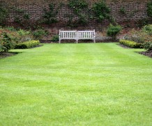 Tips, to Perfect Green lawn