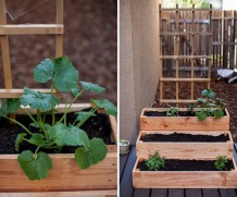Tips, How To Maintain Indoor Herb Garden